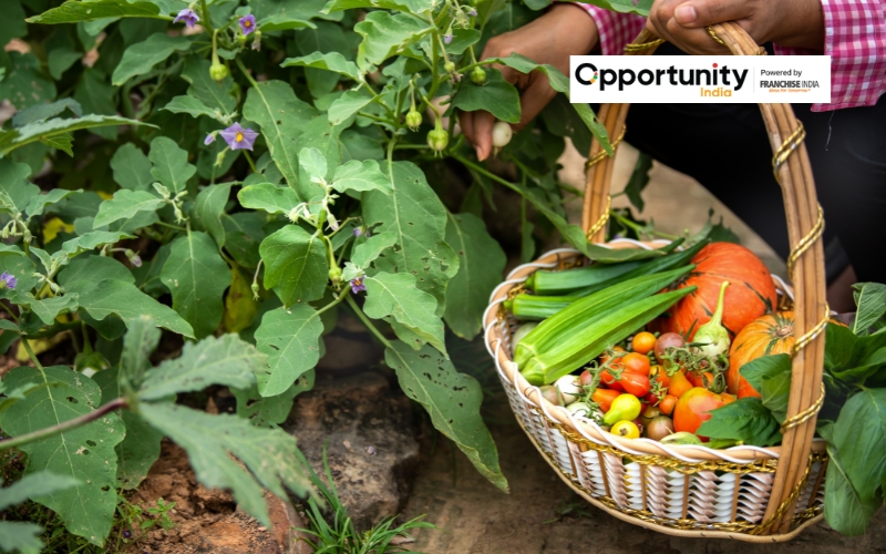 How to Start a Vegetable Farming Business?